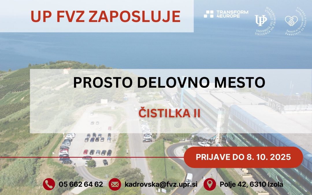 Prosto delovno mesto Čistilka II