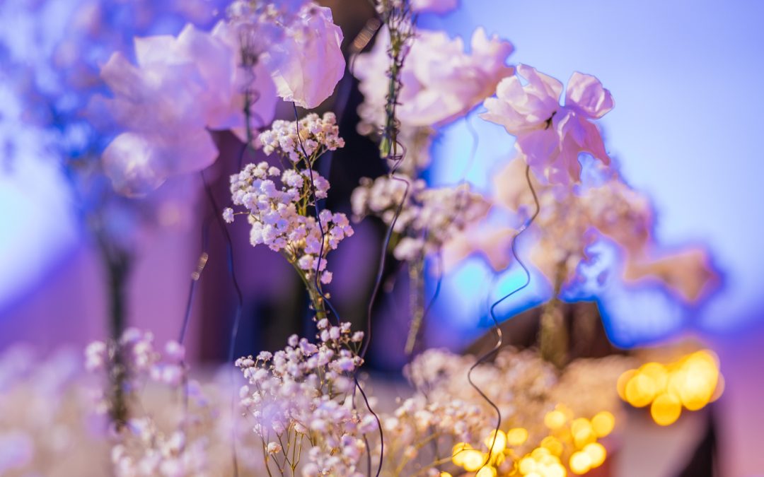 Nagrado Srečko Kosovel za študente UP za leto 2025 je prejela Eva Žura